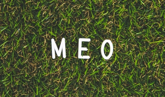 MEO